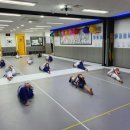 용인대 청당 태권도 이미지