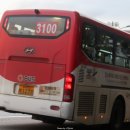 양지-3100 이미지