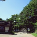 북정동 도시숲 | 가을의 마지막 테마가 있는 명품도시, '양산'