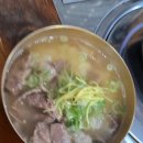 금성관 나주곰탕 | 명동/시청 맛집 | 금성관 나주곰탕 방문후기 (아이들도 잘먹는)