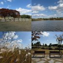 을숙도 생태공원 | 을숙도 생태공원 피크닉 가을 부산 근교 가볼만한곳