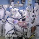 해제 - 제주시 | 해제