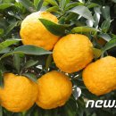 김한식농장 이미지