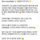 달빛애