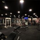 라인짐(LINE GYM) 이미지