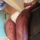 대곡농장 이미지