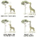 (단월드뇌호흡)<단월드 단학기공> 단학을 통한 뇌호흡 열풍 이미지