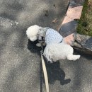 헬로우 그루밍 이미지