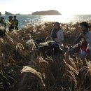 올레길안내소 이미지