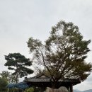 애뜨락 | 전주근교 임실 카페 애뜨락 후기.(내돈내산)