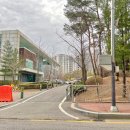 영덕레스피아 인라인하키장 이미지