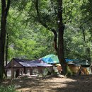 엄둔 솔밭 빌리지 이미지