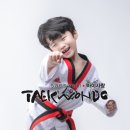 새샘태권도 이미지