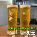 안주 타이어보다 싸다 | [단대오거리] 안주가격 실화? 저렴한 안주와 생맥주 맛집 '잇포' 내돈내산 후기🍺