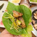 돈막골 - 부여군 | 돈막골