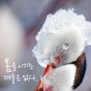 젠모터스 이미지