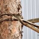 나래솔공원 이미지