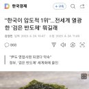 &#34;한국이 압도적 1위&#34;…전세계 열광한 &#39;검은 반도체&#39; 뭐길래 이미지