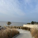 영광의 빛 | 영광 백수해안도로카페 추천 겨울에 다녀온 카페보리 후기