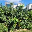 펜션 153 이미지