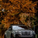 오토렌트카 이미지