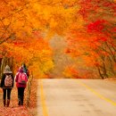 방가방가 이미지