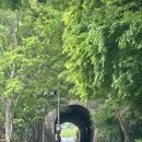 팔복동-05(팔복주유소) | 국내여행 전라도 전주 1박 2일 자유여행 코스 추천 (+자차 이용, 이팝나무 철길 행사일정 안내)