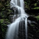 증산마을회관 | 🌊2025 김천·증산·청암사·물소리생태숲 여름 계곡 완전정복! 가족·연인·아이 모두 즐기는 인기 캠핑...