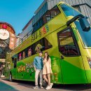 아리랑열차 연계형 시티투어2 이미지