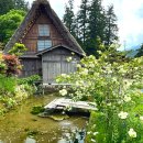 무창기계 앞 녹지지역 | 나고야 근교 소도시 시라카와고 버스투어 , 푸딩, 전망대, 특별한 사진 촬영