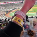 세븐일레븐의왕청계점 | kt 위즈 파크 Y덤석 310구역 2열 시야 및 후기, 2025년 첫 직관!