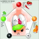 [건강] 오장육부(五臟六腑)와 5가지 색깔음식 이미지