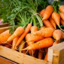 안경아울렛 이미지