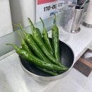 지원이네칼국수 - 동해시 천곡1길 3 | 지원이네칼국수