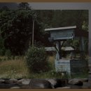 섬진강문화학교 독도사진전시관 | 섬진강문화학교 독도사진전시관 방문 후기: 아름다운 자연 경이로움을 만끽하다