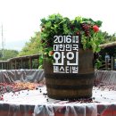 2015 광명동굴 대한민국 와인 페스티벌 이미지