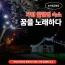 일상을 노래하다 | 가평 라루체 글램핑 꿈을 노래하다 :: 서울 근교 감성 숙소 온수풀 바베큐 힐링 여행 솔직 후기