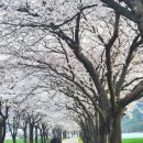 화월경로당 이미지