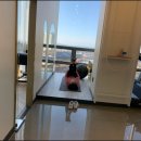 풀 바디짐 이미지