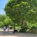 월악농장 이미지