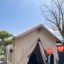 금포로 | 주말에 육아모임하기에 좋은 김포 강변글램핑! 아기 2명 어른6명이 함께 다녀온 내돈내산후기