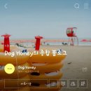 도그허니 이미지