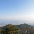 이성남외과의원 Daum카페