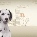 세인트동물병원 이미지