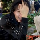 무박2일 | 무박2일 닐라닐라마닐라 해투 후기 (내인생에서이딴거처음봐)