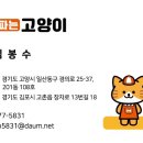 개밥파는고양이두정점