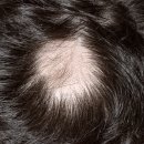 이성미베스트의원 이미지