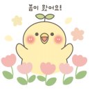 봄 휘트니스 이미지