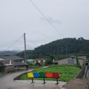 죽림어촌체험마을 이미지