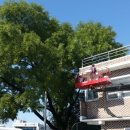 화원마을회관 이미지